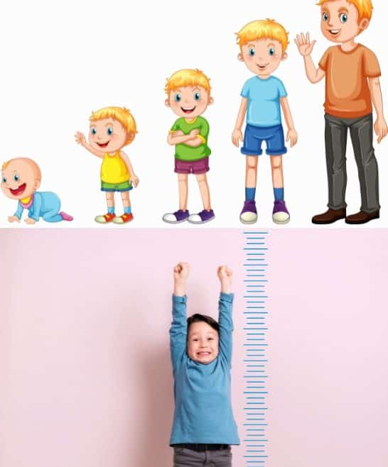 Áreas de intervenção d’O Principezinho no desenvolvimento infantil