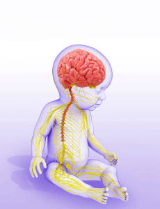 Desenvolvimento Cognitivo