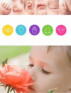 Desenvolvimento sensorial e motor